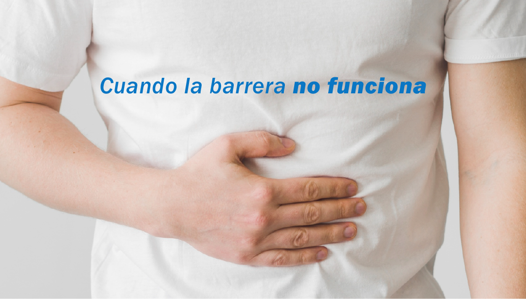 intestino permeable