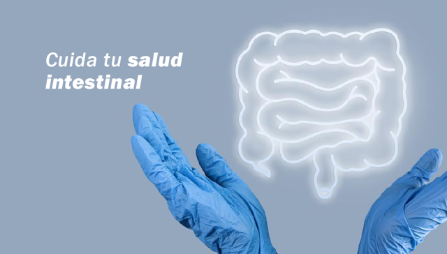 intestino sano